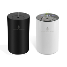 Load image into Gallery viewer, Luxury Portable Home, Office and Car Diffuser : Black