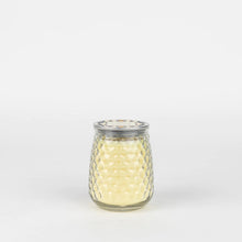 Load image into Gallery viewer, Indigo Suede Large Candle