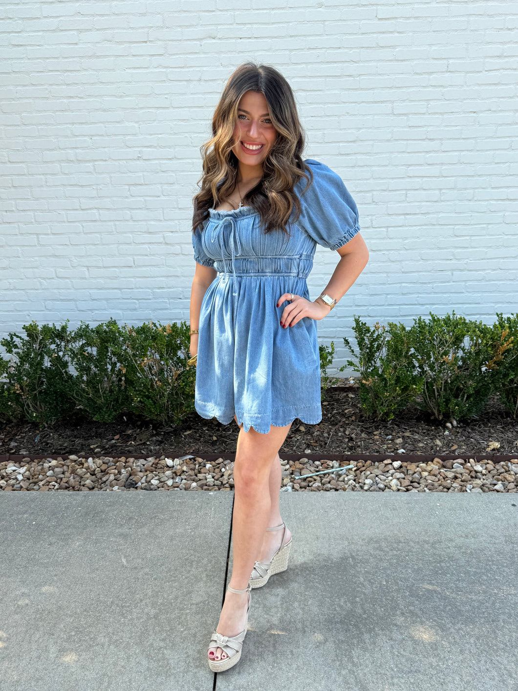 The Amy Denim Dress