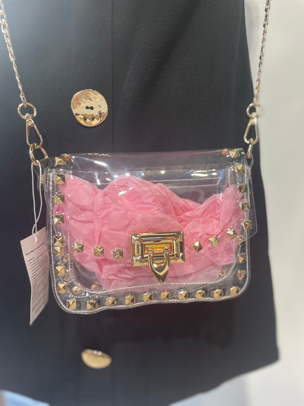 Clear Purse with Gold Stones